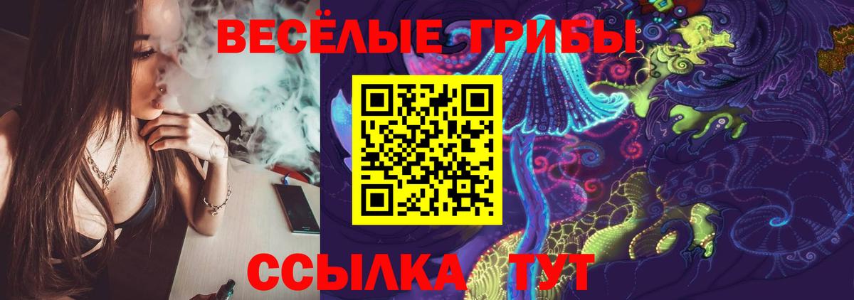 Чебоксары  Псилоцибиновые грибы Cubensis  Вход с VPN 
